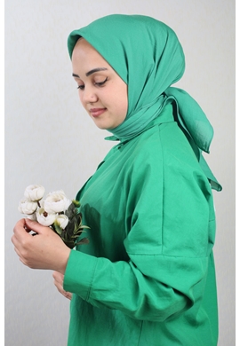 RENK-01