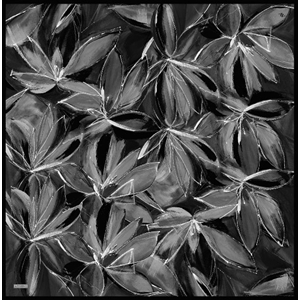 Armine Dj Sura Saf İpek Eşarp - 2025-2026 Sonbahar-Kış 9406D (S) - Renk-35