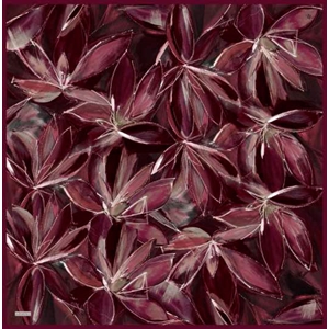 Armine Dj Sura Saf İpek Eşarp - 2025-2026 Sonbahar-Kış 9406D (S) - Renk-35